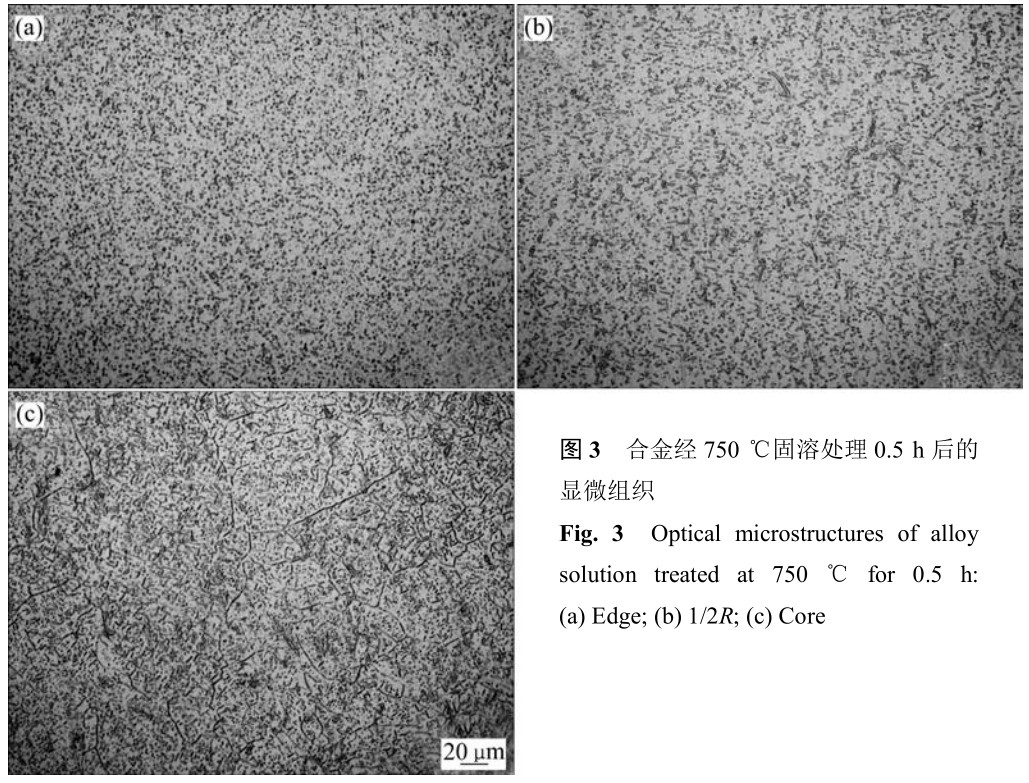 1700405074644235.jpg t3.jpg