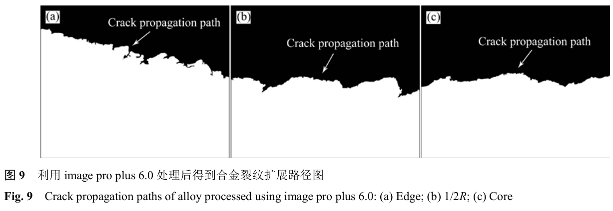 1700405144361824.jpg t9.jpg