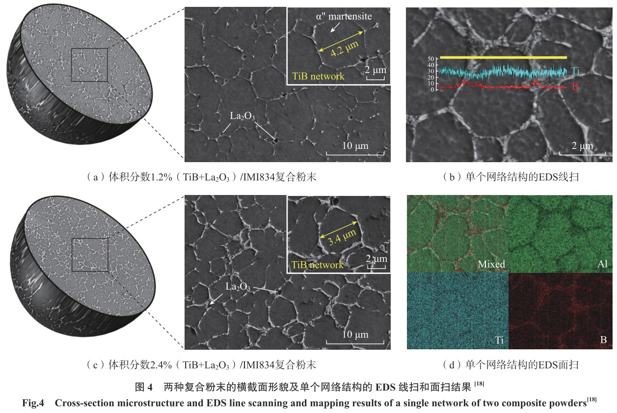 1701736497403332.jpg t4.jpg