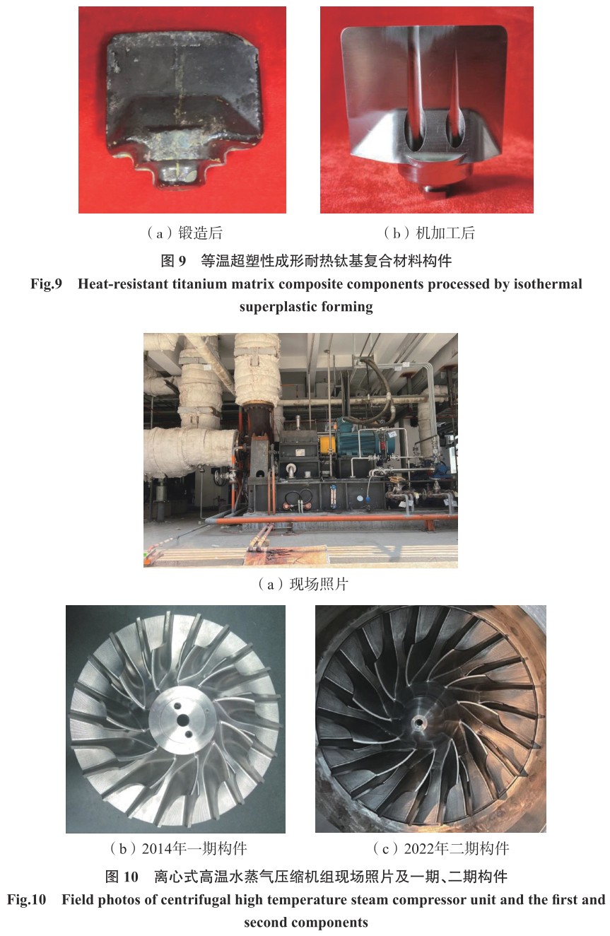 1701736580898611.jpg t9-10.jpg