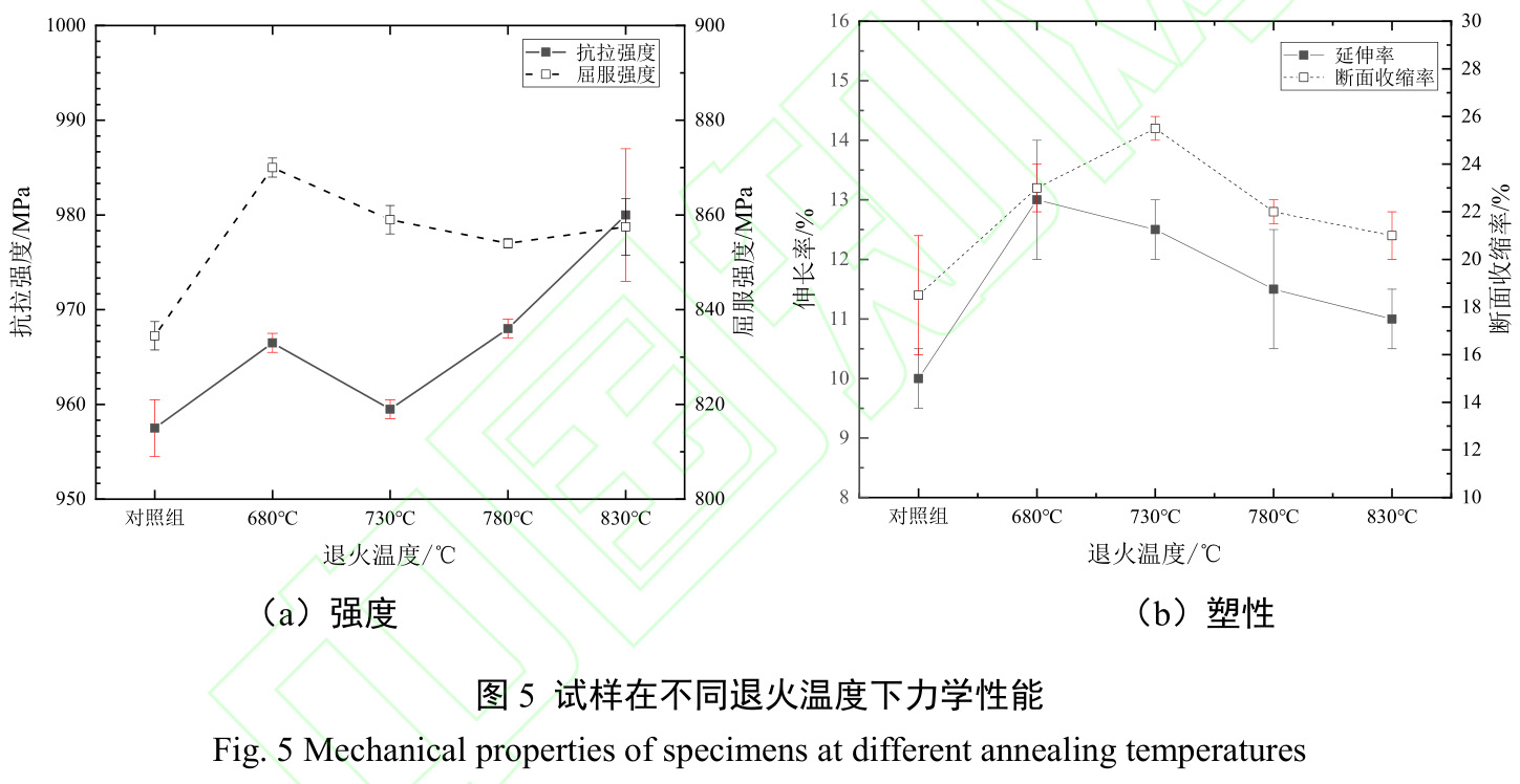 1728438359992781.jpg t5.jpg